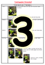 PDF - 1.6 Mo